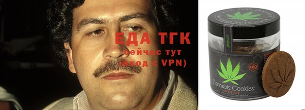 молекула духа Горнозаводск