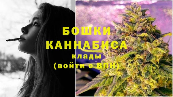 винт Горно-Алтайск