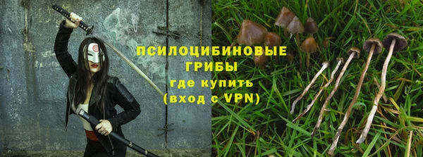 молекула духа Горнозаводск