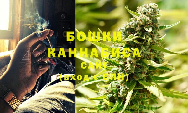 молекула духа Горнозаводск