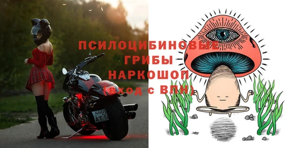 винт Горно-Алтайск