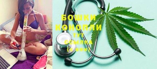 винт Горно-Алтайск