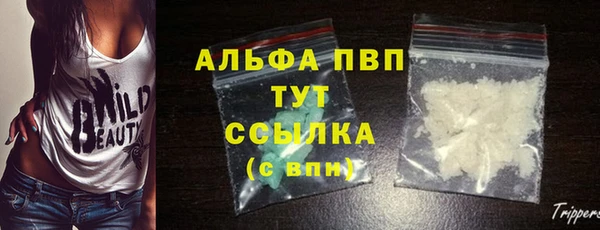 молекула духа Горнозаводск