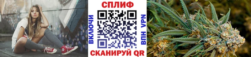 Бошки марихуана план  Печора 